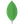 MongoDB